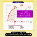채채북스