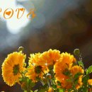 꿈속의 쉼터 모텔 이미지