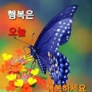 애인으로 삼고 싶은 여자 베스트 이미지