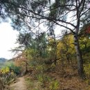 종로-종로-종로-종-359 이미지