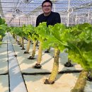 힘찬농장 이미지