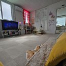 사비로100번길 이미지