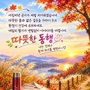 따 뜻 한 동 행 이미지