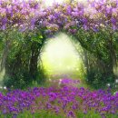 환타지아 이미지