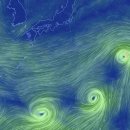 8월 5일경 태풍 3개 동시 생성된다는 예보 이미지