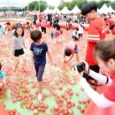 토마토온누리약국 이미지