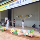 금계초교병설 이미지