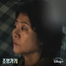 매일조명