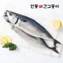 고등어