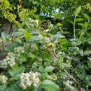 원 농장 이미지