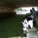 작전여고 이미지