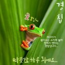 경칩(경蟄)아침 인사드려요. 이미지