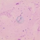 오케이 메디칼 이미지