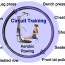 순환운동 - 서킷트레이닝 이란 이미지