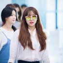 야야(YAYA) 이미지