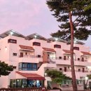 배쟁이호텔 이미지