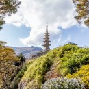 청량산에서 이미지