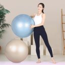 상아중기 | 임산부 짐볼 추천 사이즈선택 레토 안티버스트 65cm 실제 사용후기