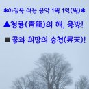 靑龍의 비상 이미지