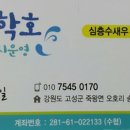 굿모닝하우스민박 이미지