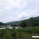 용대농장 이미지