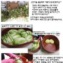 산천마을절임배추 -이렇게 절여 보내드렸습니다 회원님들의 많은관심 정말 감사합니다 이미지