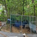 정원카페 이미지