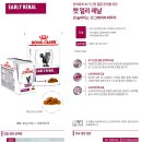 위드피시 이미지