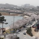 영신숲길3 이미지