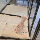 마이쏭 펫샵 이미지