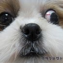 유석동물병원 이미지