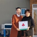 솔정 이미지
