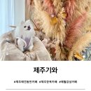 제주기와 [<b>제주</b> 애견동반 카페] 애월 애견동반 한옥 감성 카페, <b>제주</b><b>기와</b>