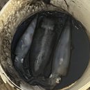 제주도 갔다온 후기.(를 빙자한 내가 하고 싶은 말 아무거나 적기)