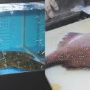 최우영수산 이미지