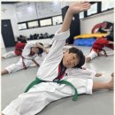 신나는태권도장 네이버블로그