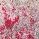 맨드라미 화단 이미지