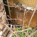 대수약국 이미지