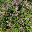 (주)트래콘건설 이미지