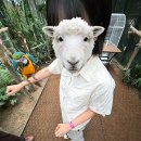 채경농장 이미지