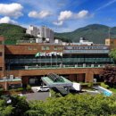 태백약국 엔디엔뉴스