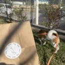 영천(대구) 이미지