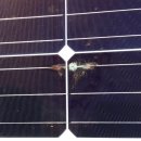 자인 태양광발전소 이미지