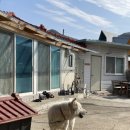 월오포레스트 이미지