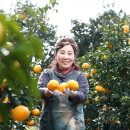 폴개네제주드림캠프 이미지