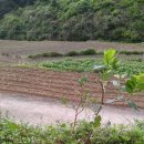 월곡농장 이미지