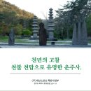 대초커피