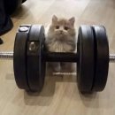 휘트니스 휴 금천점 이미지