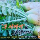 알토란식품 이미지
