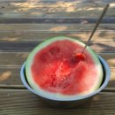 영찬농장 이미지